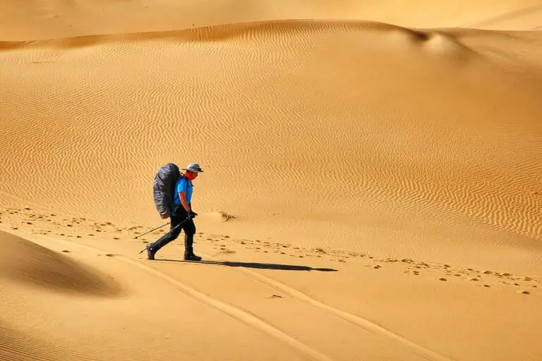 survive in the desert